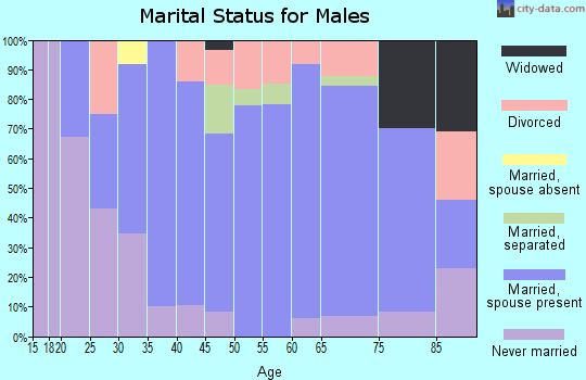 Zip code 16664 marital status for males