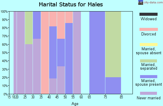 Zip code 16665 marital status for males