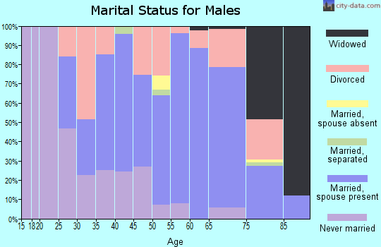 Zip code 16666 marital status for males
