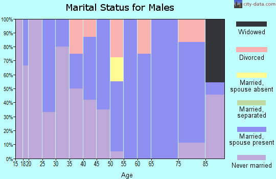 Zip code 16671 marital status for males
