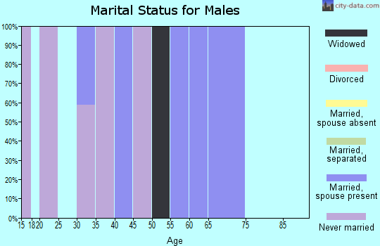 Zip code 16672 marital status for males