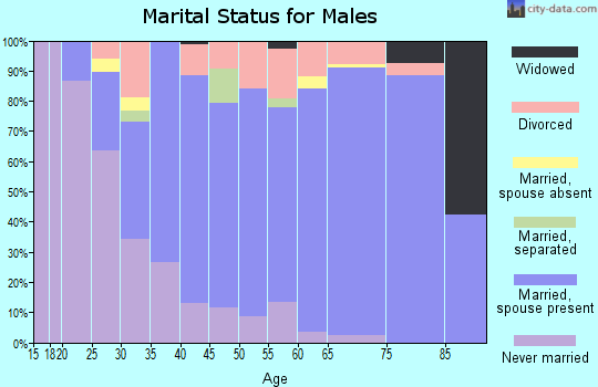 Zip code 16673 marital status for males