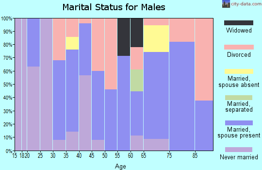 Zip code 16674 marital status for males