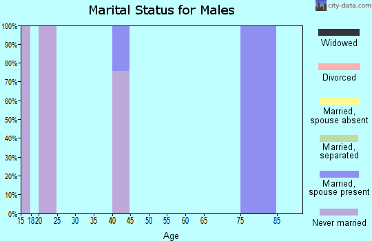 Zip code 16677 marital status for males