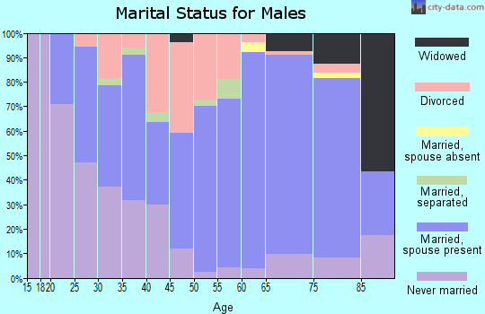Zip code 16678 marital status for males