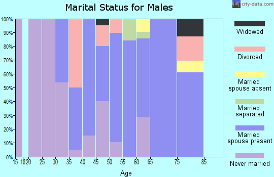 Zip code 16683 marital status for males
