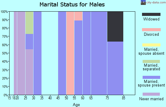 Zip code 16694 marital status for males