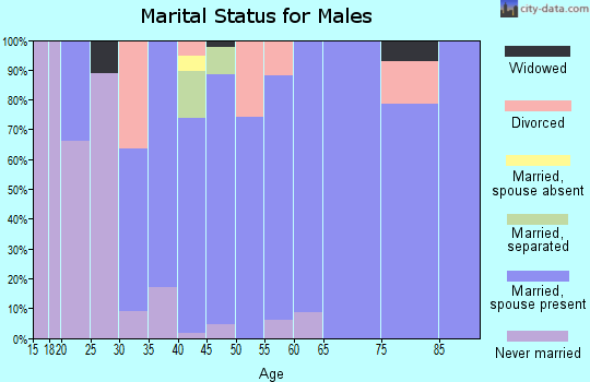 Zip code 16695 marital status for males