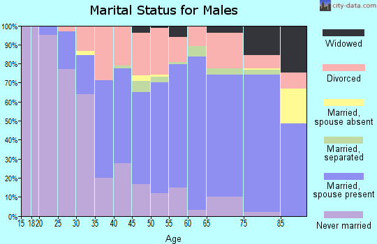 Zip code 16701 marital status for males