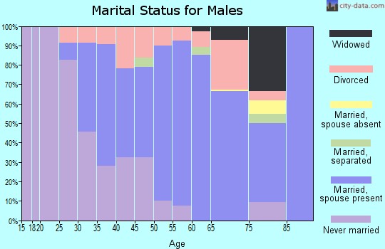 Zip code 16720 marital status for males