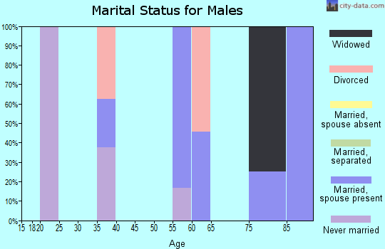 Zip code 16724 marital status for males