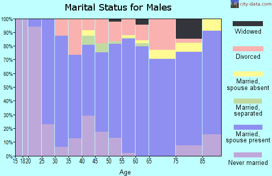 Zip code 16743 marital status for males