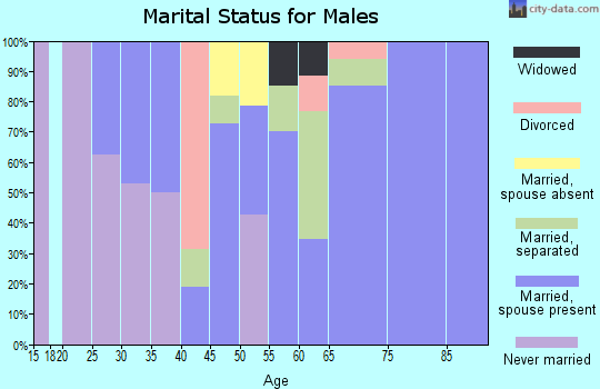 Zip code 16745 marital status for males