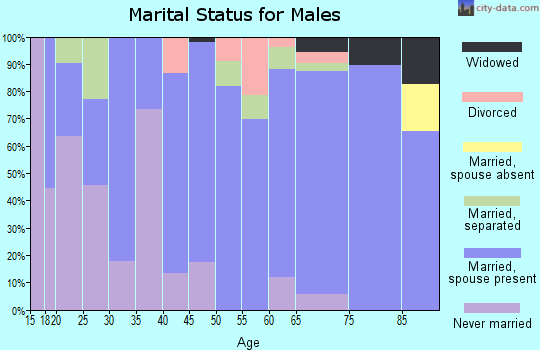 Zip code 16746 marital status for males
