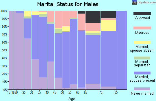 Zip code 16803 marital status for males