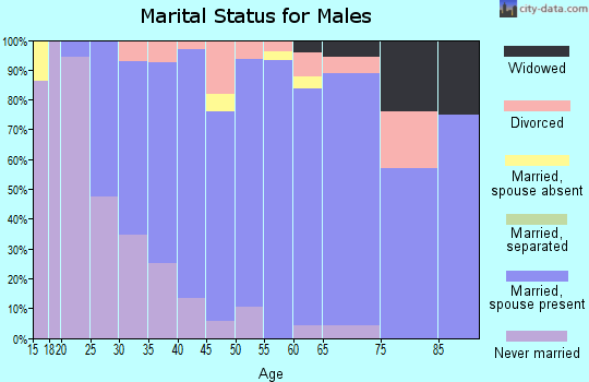 Zip code 16822 marital status for males