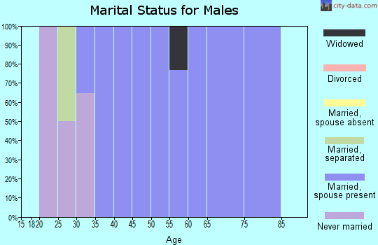 Zip code 16826 marital status for males