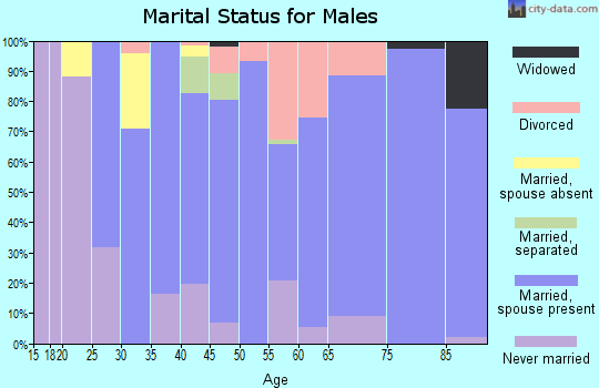 Zip code 16828 marital status for males
