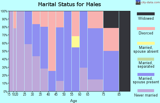Zip code 16829 marital status for males