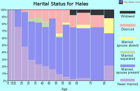 Zip code 16833 marital status for males