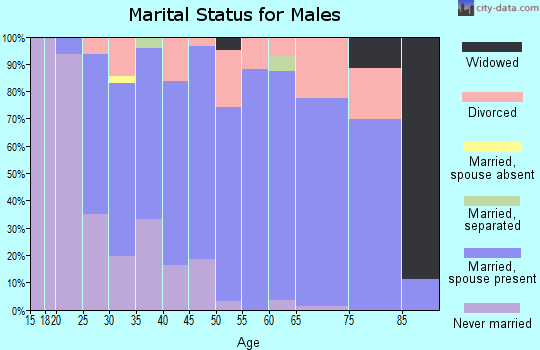 Zip code 16838 marital status for males