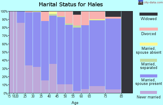 Zip code 16841 marital status for males