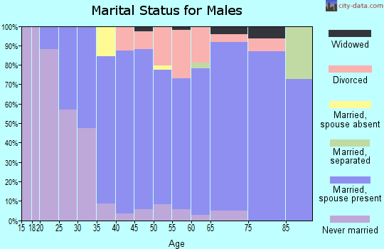 Zip code 16844 marital status for males
