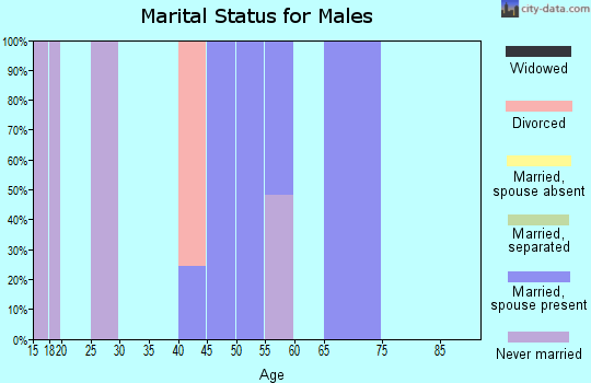 Zip code 16851 marital status for males