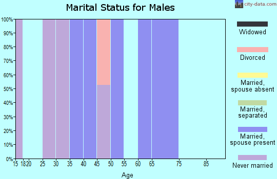 Zip code 16853 marital status for males