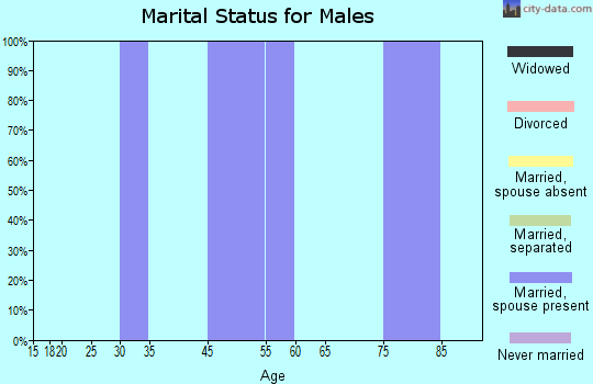 Zip code 16856 marital status for males