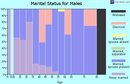 Zip code 16865 marital status for males