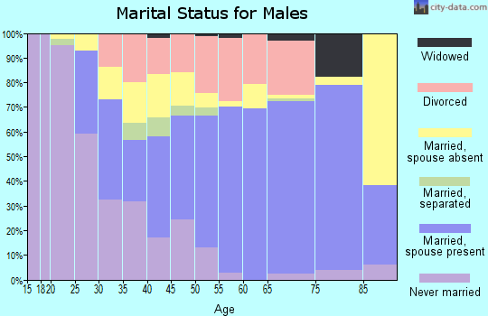 Zip code 16866 marital status for males
