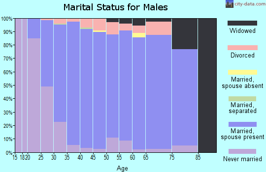 Zip code 16870 marital status for males
