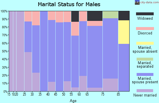 Zip code 16874 marital status for males