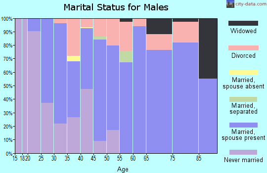Zip code 16875 marital status for males