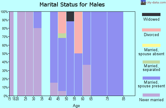 Zip code 16876 marital status for males