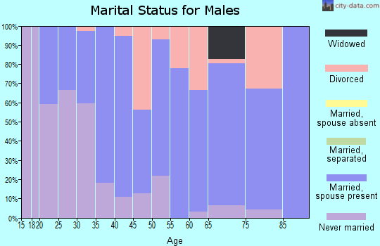 Zip code 16877 marital status for males