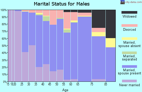 Zip code 16901 marital status for males