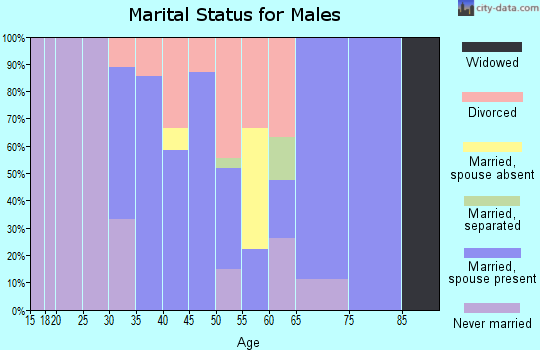 Zip code 16911 marital status for males