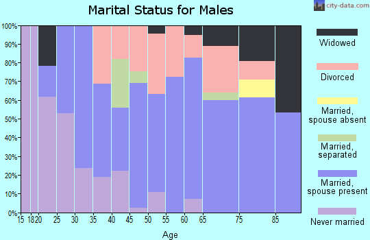 Zip code 16912 marital status for males