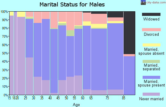 Zip code 16915 marital status for males