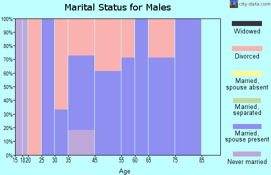 Zip code 16918 marital status for males
