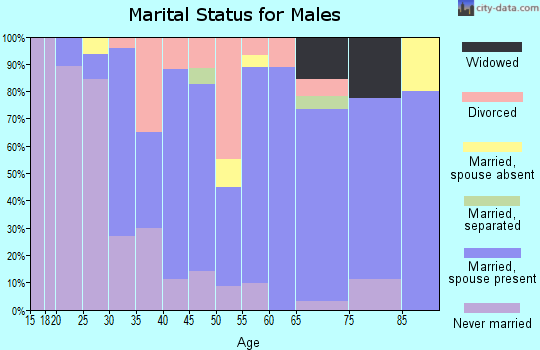 Zip code 16920 marital status for males