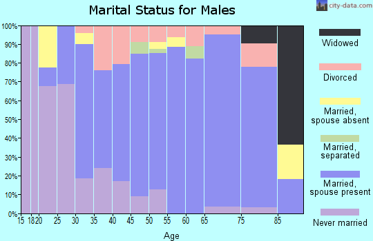 Zip code 16929 marital status for males