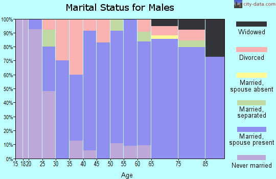 Zip code 16935 marital status for males