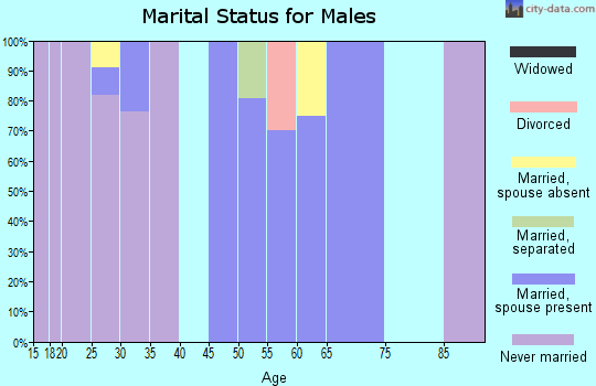 Zip code 16937 marital status for males