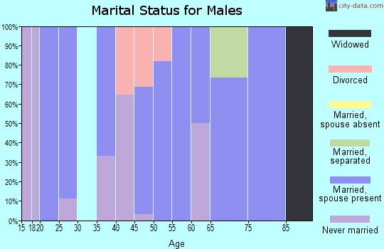 Zip code 16940 marital status for males