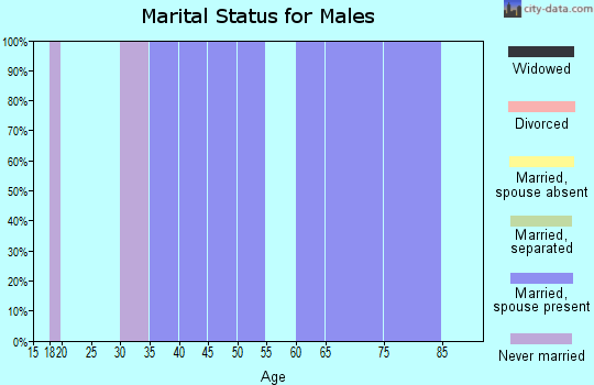 Zip code 16941 marital status for males
