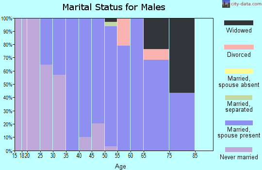 Zip code 16942 marital status for males
