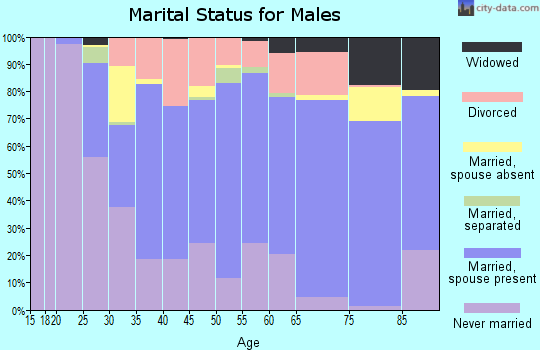 Zip code 16947 marital status for males